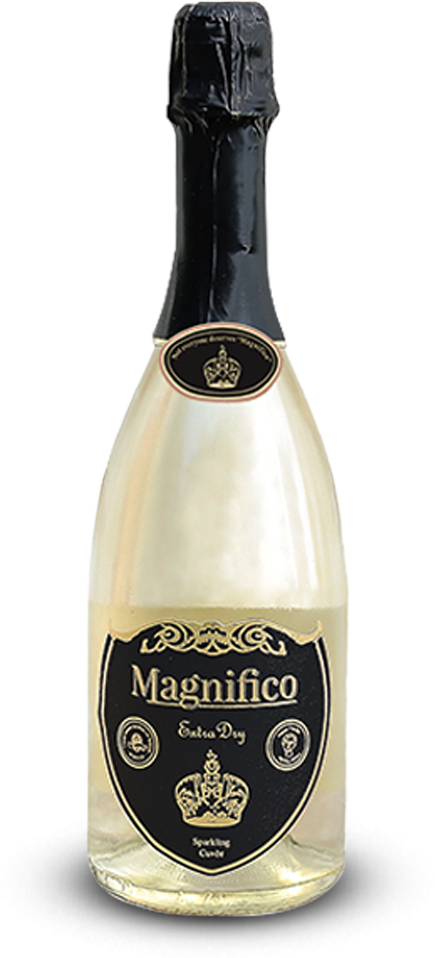 Magnifico Extra Dry – 75 CL